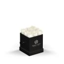 BLACK BOX;Black