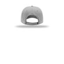 LightGrey 4289C