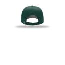 DarkGreen 4203C