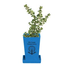 GrowBuddy USA Planter Kit - Vibrant Colors - Desk Accessories
