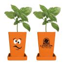 Orange;Orange