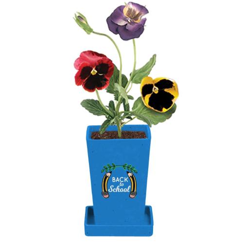 Occasions - Earth Day - Colorful Grow Kit