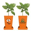 Orange;Orange