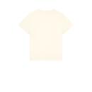OffWhite COOL GRAY 1C