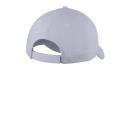 Silver COOL GRAY 6C