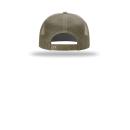 DkGreen/Bk 4203C